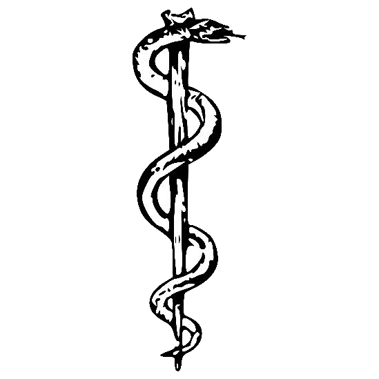Healthcare professionals
